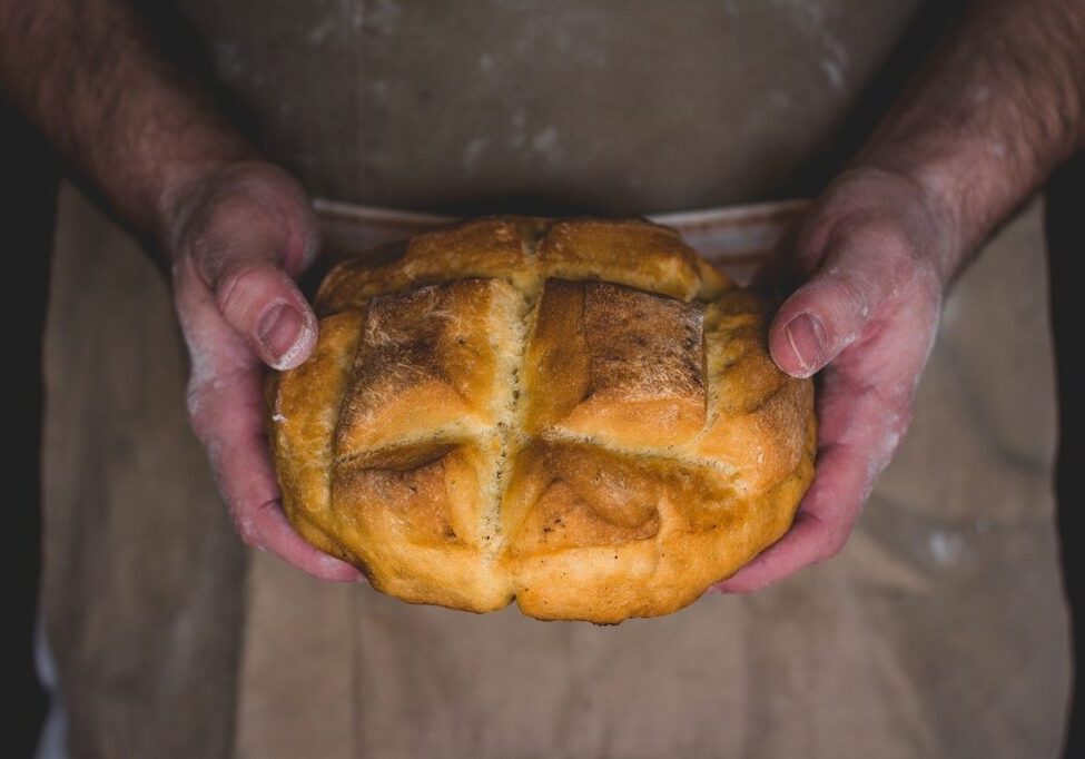 Photo by Wounds_and_Cracks bread, loaf, bakery, baked, flour, wheat, dough, nutrition, carbohydrates, fresh, crust, food, bread, bread, bread, bread, bread